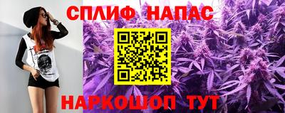 шишки Керчь