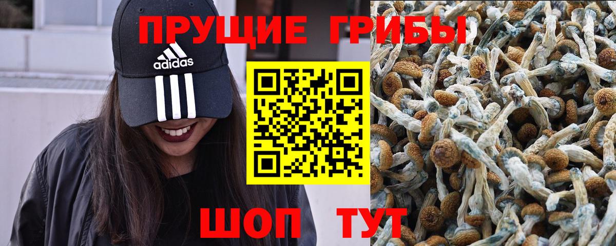 наркошоп  Галлюциногенные грибы MAGIC MUSHROOMS  Галлюциногенные грибы ЛСД  Вход с VPN  Муром 